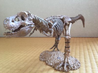 ティラノサウルス発掘！